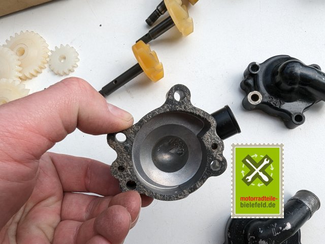 PXL_20240528_135647225.MP